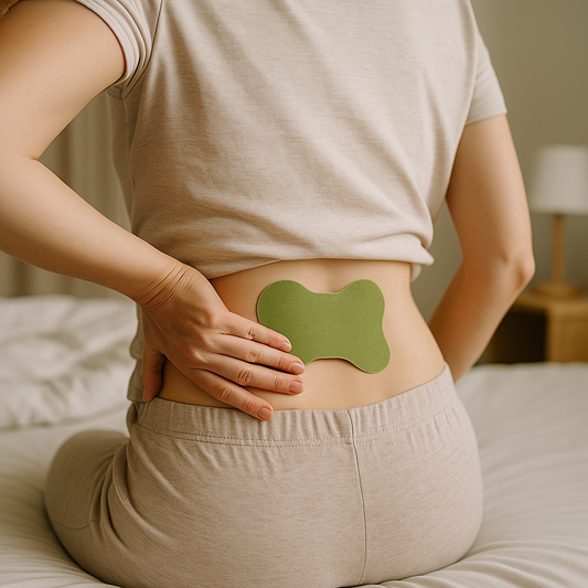 Lumbar Relief Patches (1 Pack, 10 PCS)